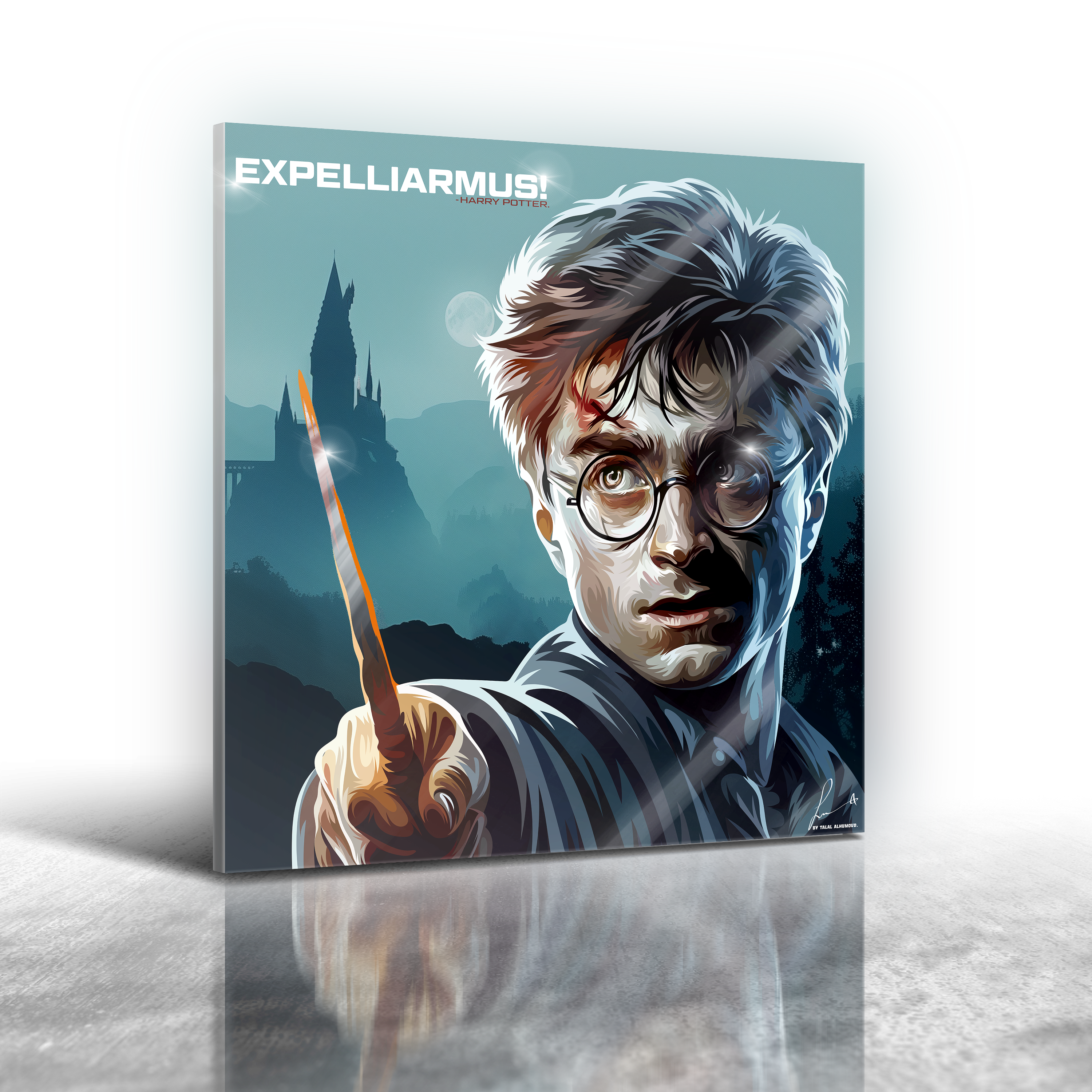 Harry Potter - Harry Potter Ver 2