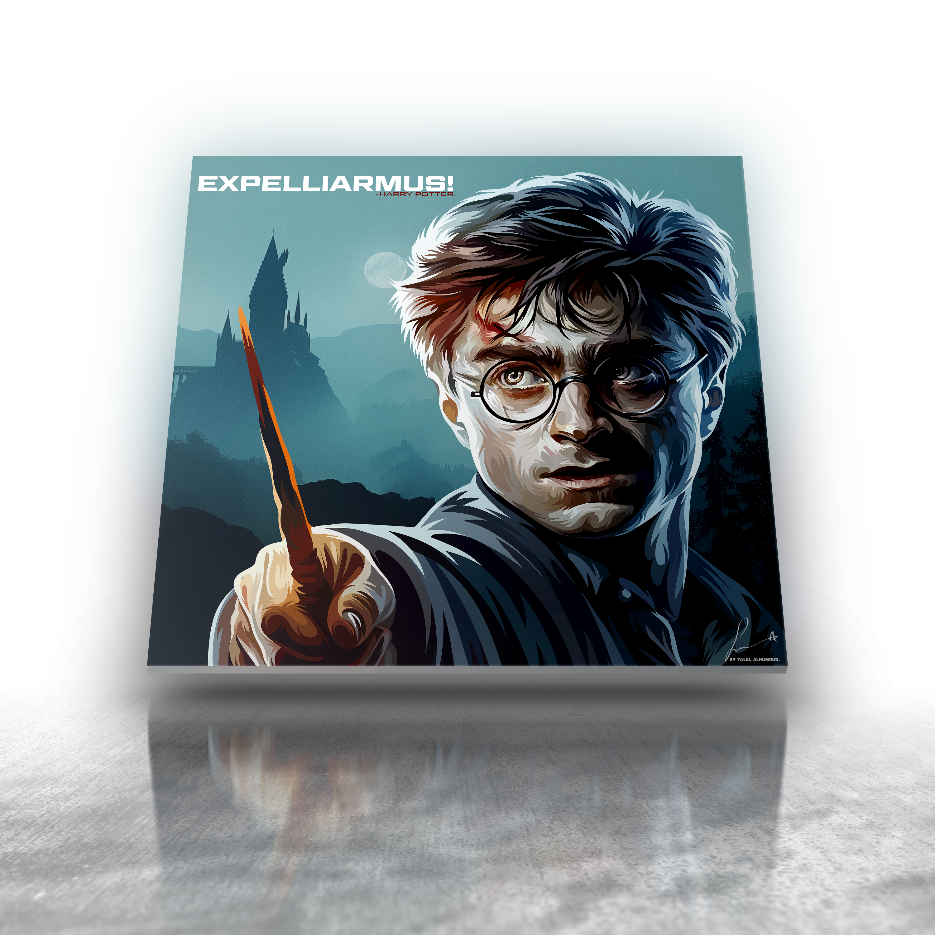 Harry Potter - Harry Potter Ver 2